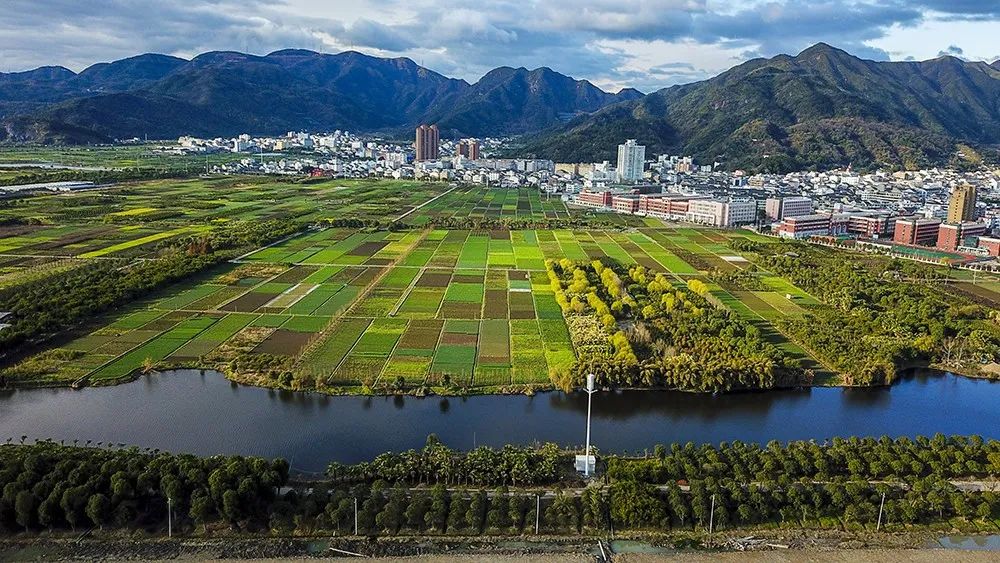 扬帆采石华挂席拾海月奋进科教瓯海新征程