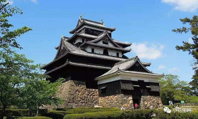 三个海归和移民家庭的真实感受 海外经历对我养娃影响至深 湃客 澎湃新闻 The Paper