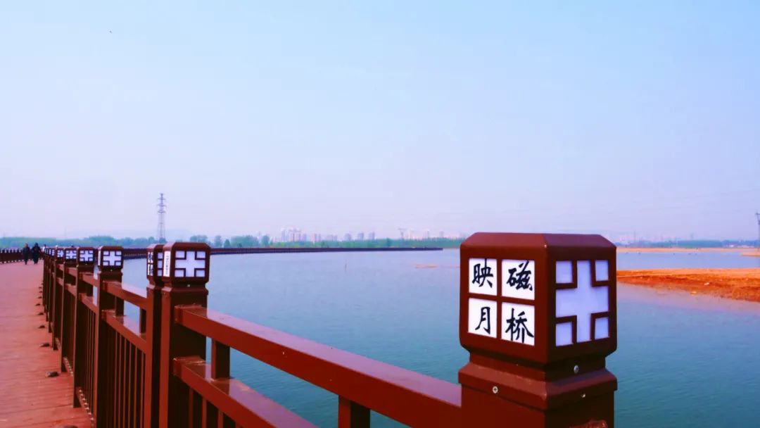 春姑娘喊你来磁县踏春赏花