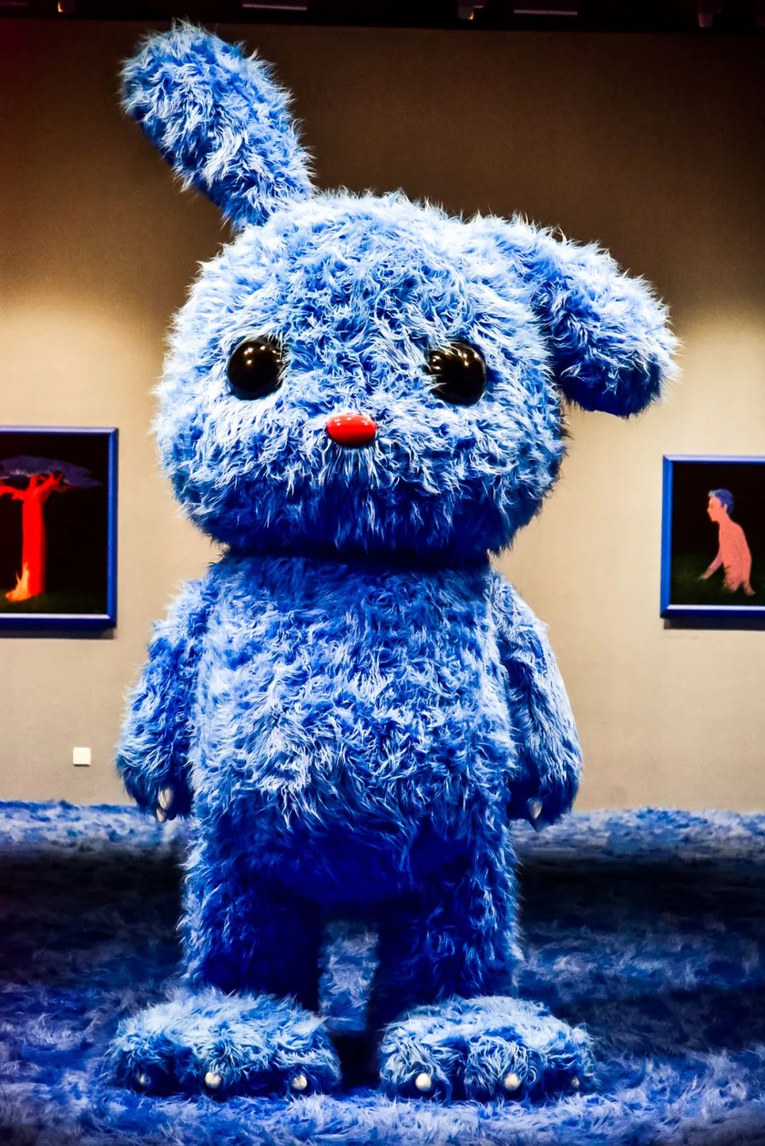 快看闵行来了群超萌超可爱的大兔子