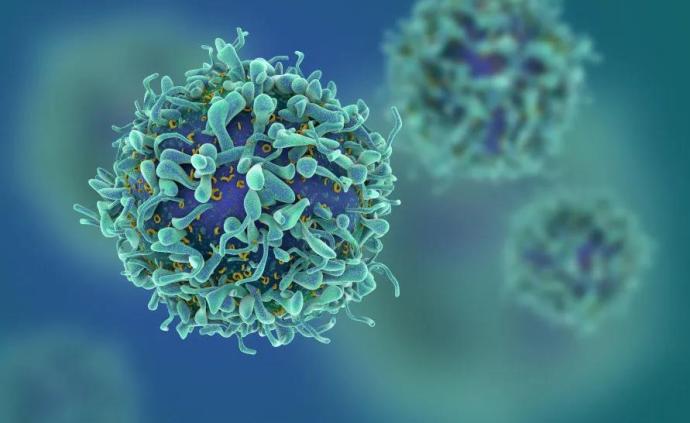 T细胞耗竭阻碍肿瘤治疗，如何化不可逆为可逆？