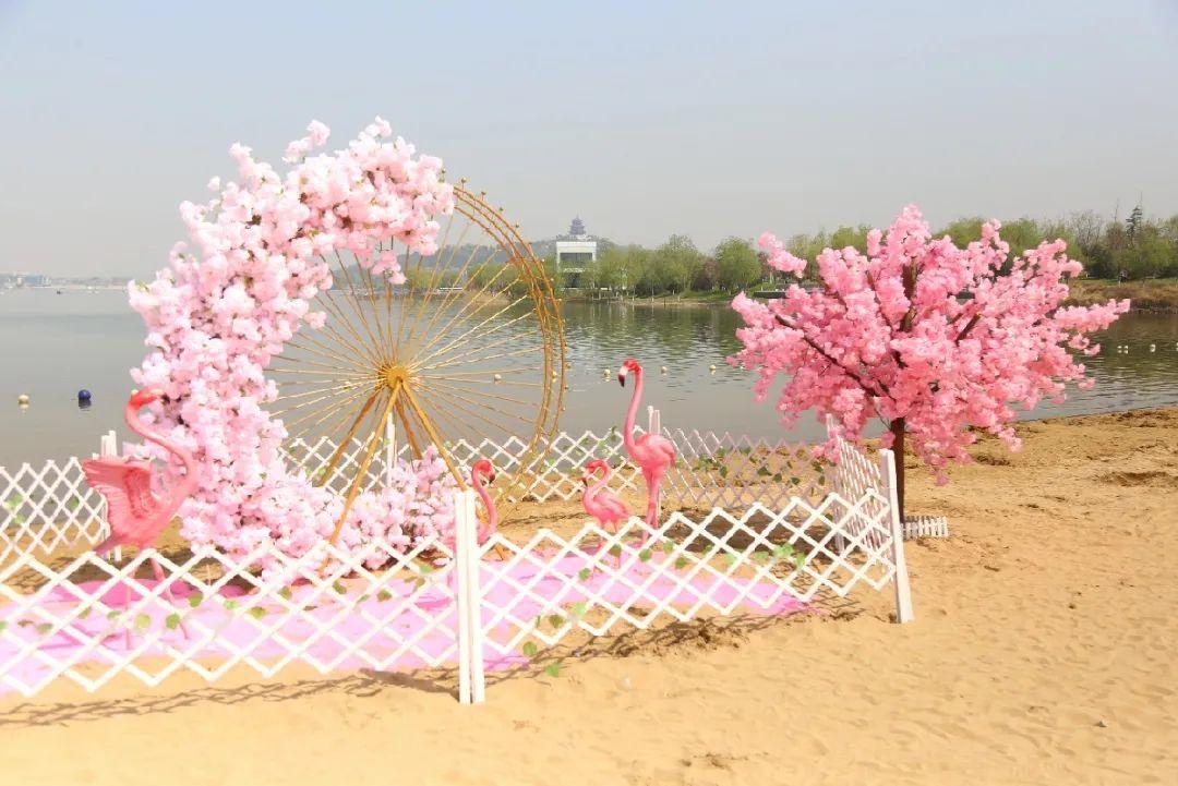 文昌湖樱花音乐节图片