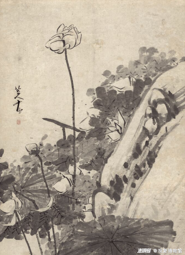 清 朱耷《墨荷图》(局部) 安徽省博物馆藏