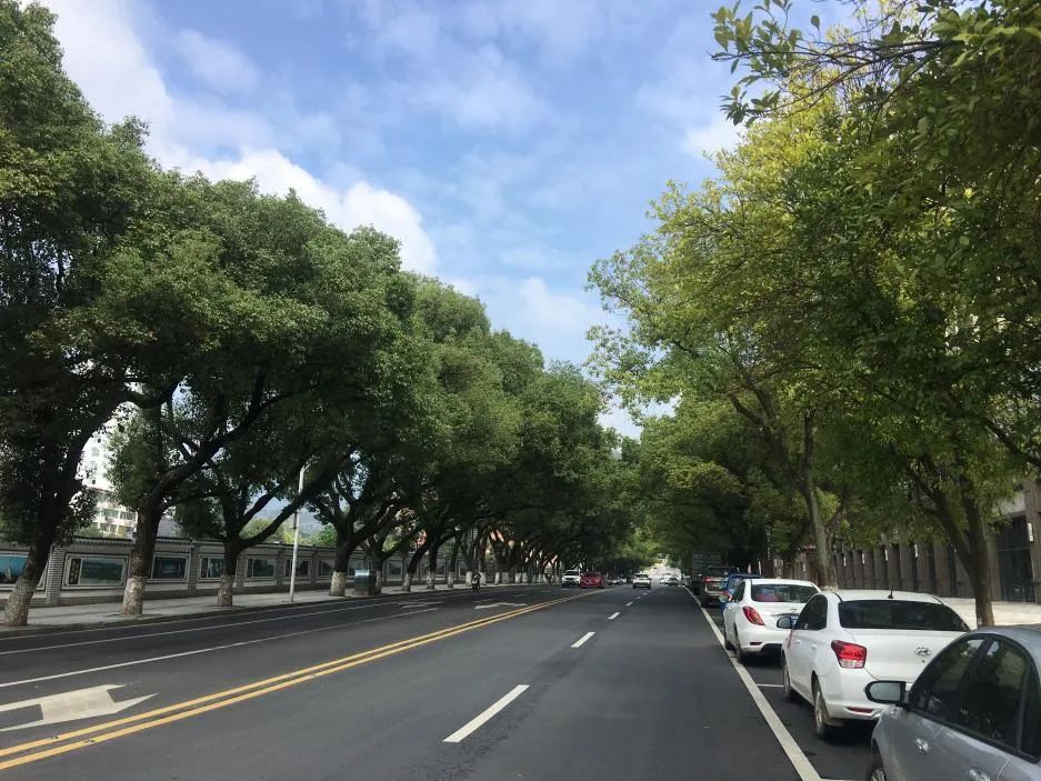 【健康湾里】巩固国家卫生城市成果!站前街道拿出实际行动