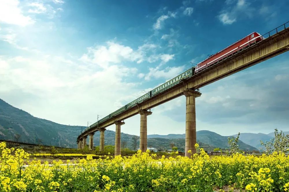 环西部火车游走进兰州什川古镇邂逅漫天梨花