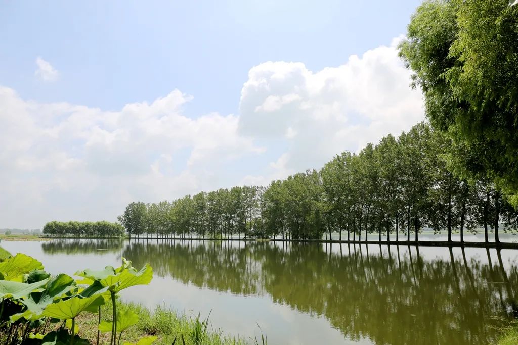 长丰县双河月亮湾旅游风景区 地址:长丰县造甲乡双河社区