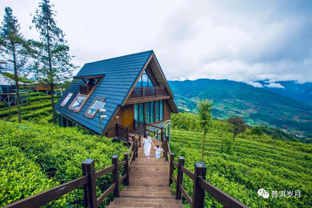 春天,趁着茶园新绿,一起带着家人去茶园深处体验一次房车旅行的乐趣吧