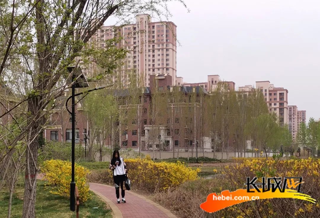 清晨,在安新县湿地公园散步的居民.刘师豪 摄