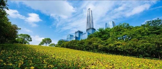 全球未来三大高科技_未来世界的高科技产品_世界未来科技趋势