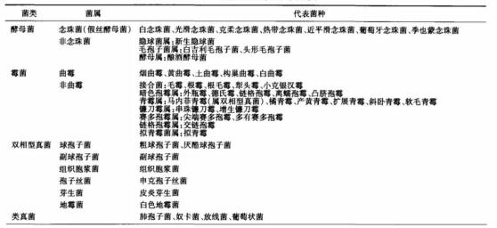 闻袜子得真菌性肺炎居住环境与肺病剪不断理还乱