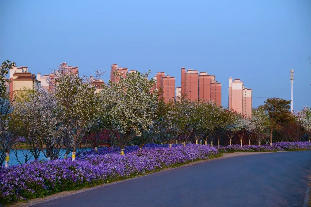 天津武清区环境图片图片