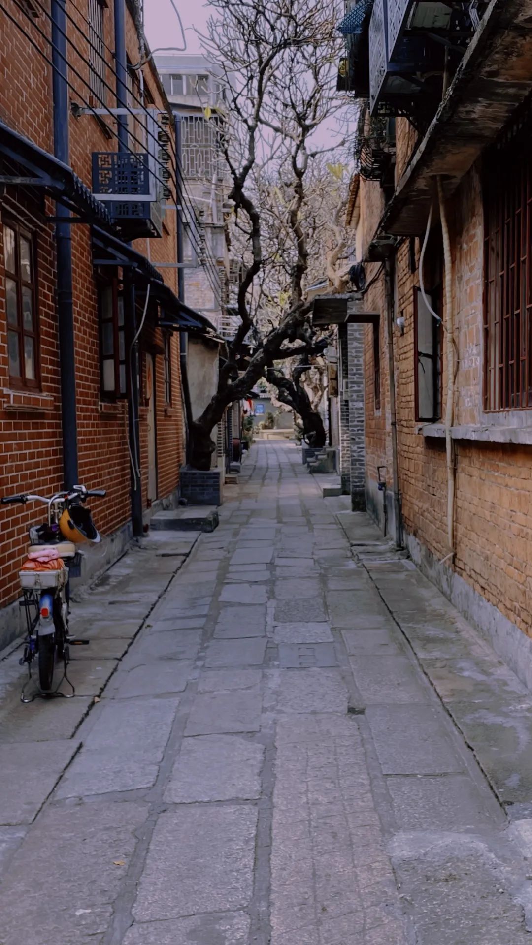 寻城市烟火重拾禅城老街的旧时光