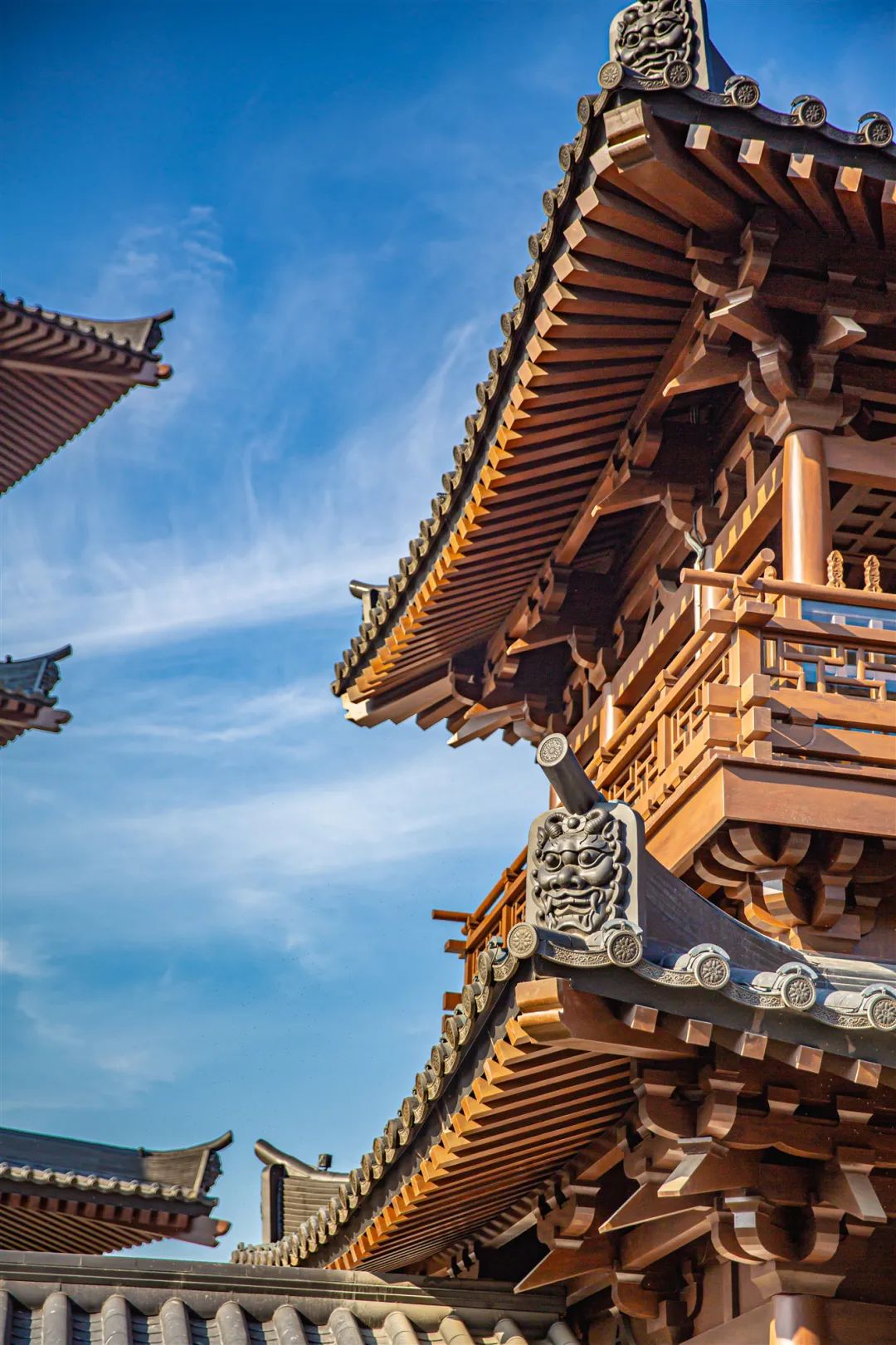 如何一天之内游遍江苏攻略来了