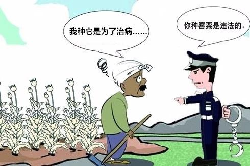 因為民間對罌粟殼的功效的某種迷信,有些人偏偏要在食品里加入這個