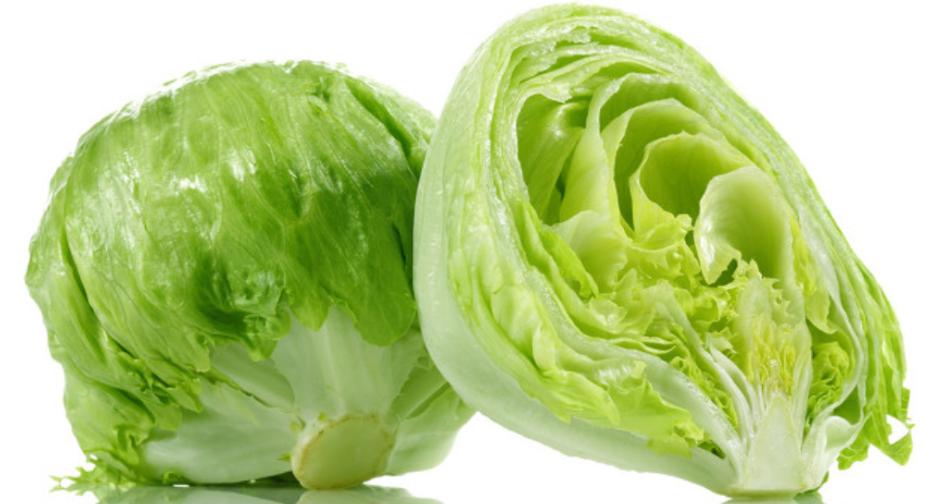 像卷心菜的结球生菜丨图虫创意而我们餐桌上常见的油麦菜其实也是生菜