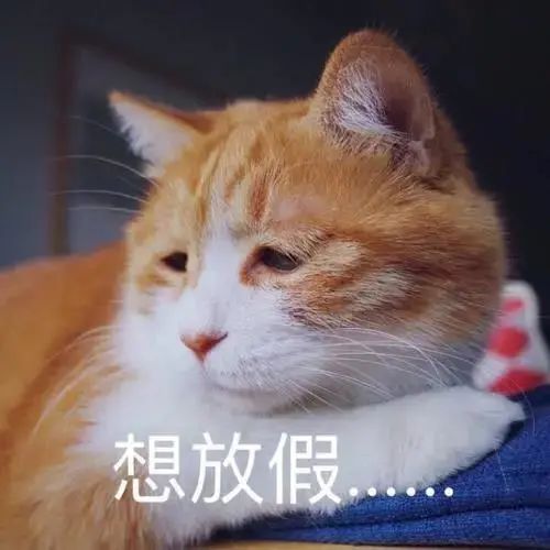 啦啦啦 又是新的一周 有谁和小布一样 是数着过日子的 因为在期待五一