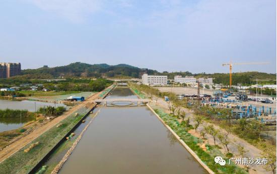 绿树成荫鱼鸟栖息东里新河涌要上新啦