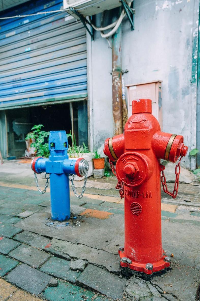 巡城记 | 从横街头到桂子山,薪火相传的百年书社