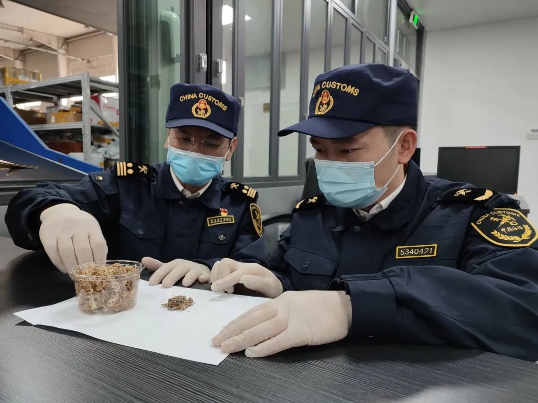 深圳海關維護國門生物安全共建美麗生態家園