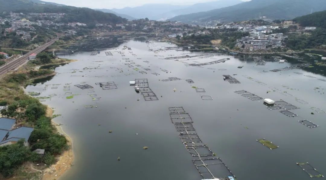 古田县水口镇养殖网箱综合整治工作取得阶段性成效