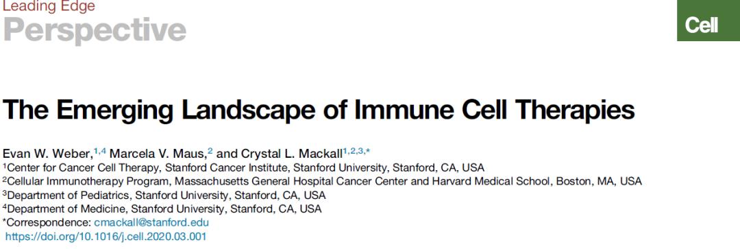学术前沿 Cell 免疫细胞疗法的未来发展蓝图