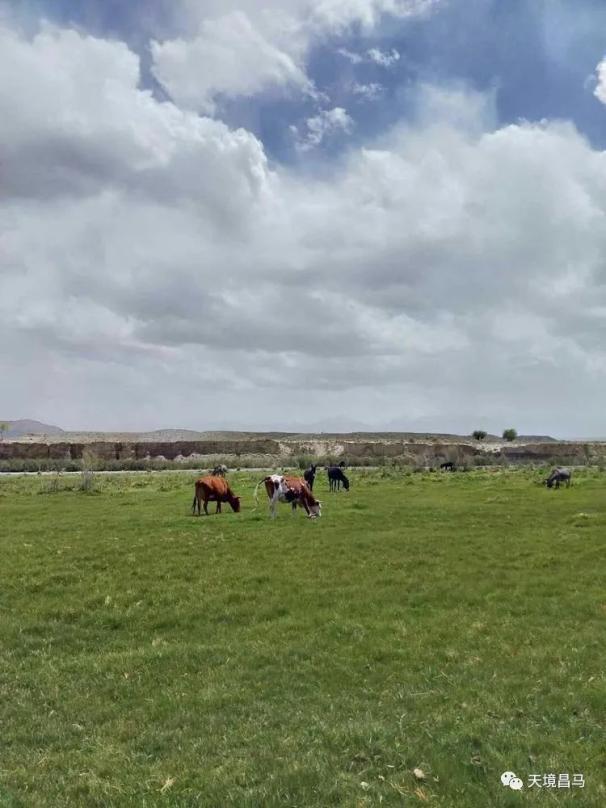 畅游昌马――天境之地旅游攻略