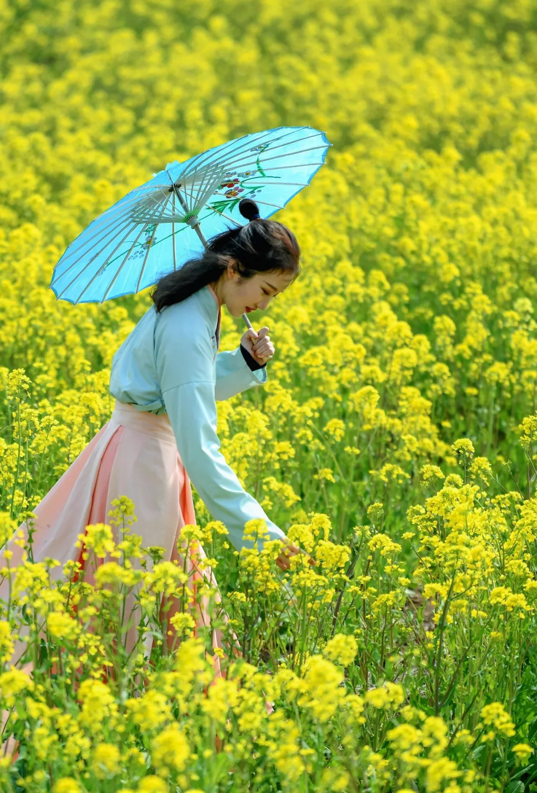 置身于漫山遍野的油菜花中,再穿上一身汉服,打一把油纸伞,阳光之下,美