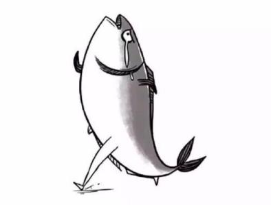 红唇蝙蝠鱼擅长走路的鱼