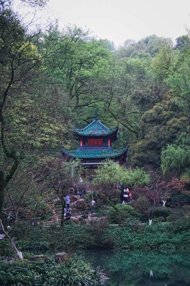 每日一景 停车坐爱枫林晚 霜叶红于二月花 媒体 澎湃新闻 The Paper