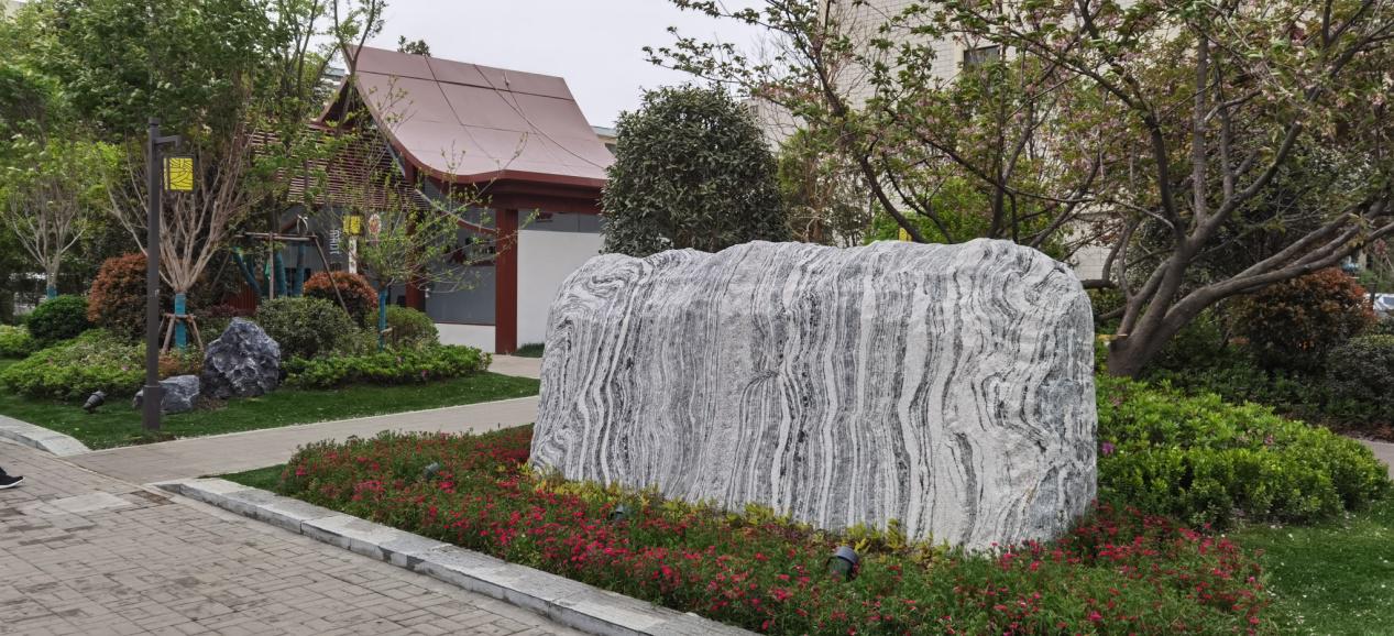 樱花树苗大概多少钱一颗呢