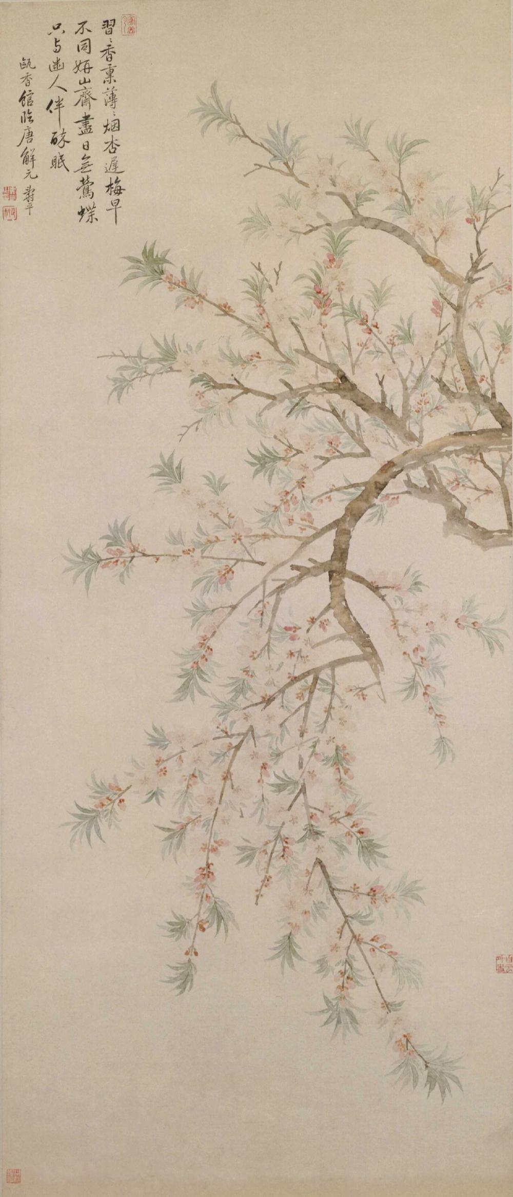 春日知识帖跟着古画赏花识花辨花