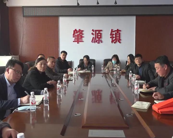 学党史 悟思想 办实事 开新局丨肇源县肇源镇人大代表开展党史学习教育