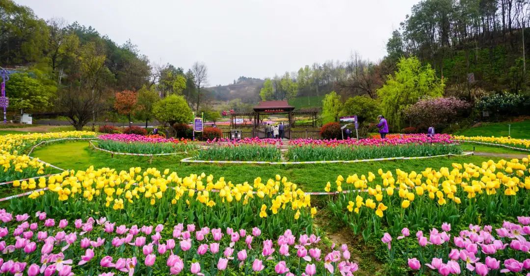 我有一个家名字叫英山