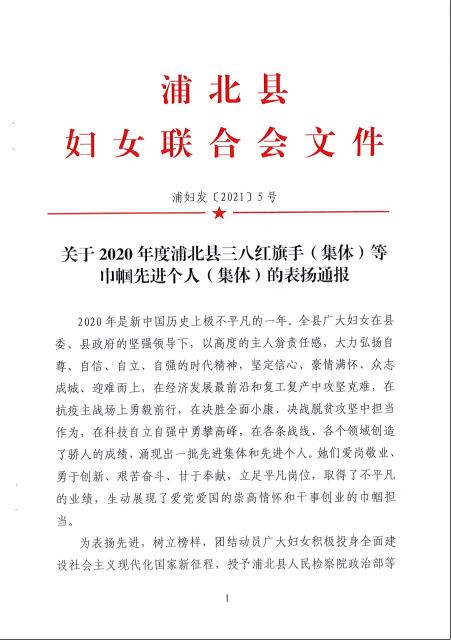 榜樣的力量喜訊浦北法院1個集體1名幹警榮獲浦北縣婦聯通報表揚