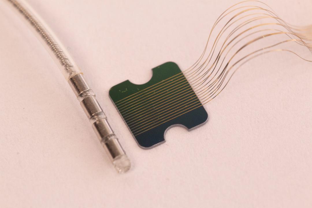 实验中采用的植入设备是超细柔性电极,就目前的实验经验来看,这种材料