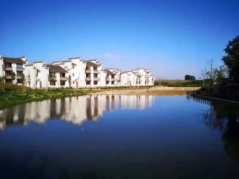 铁牛村来了50个斜杠村民