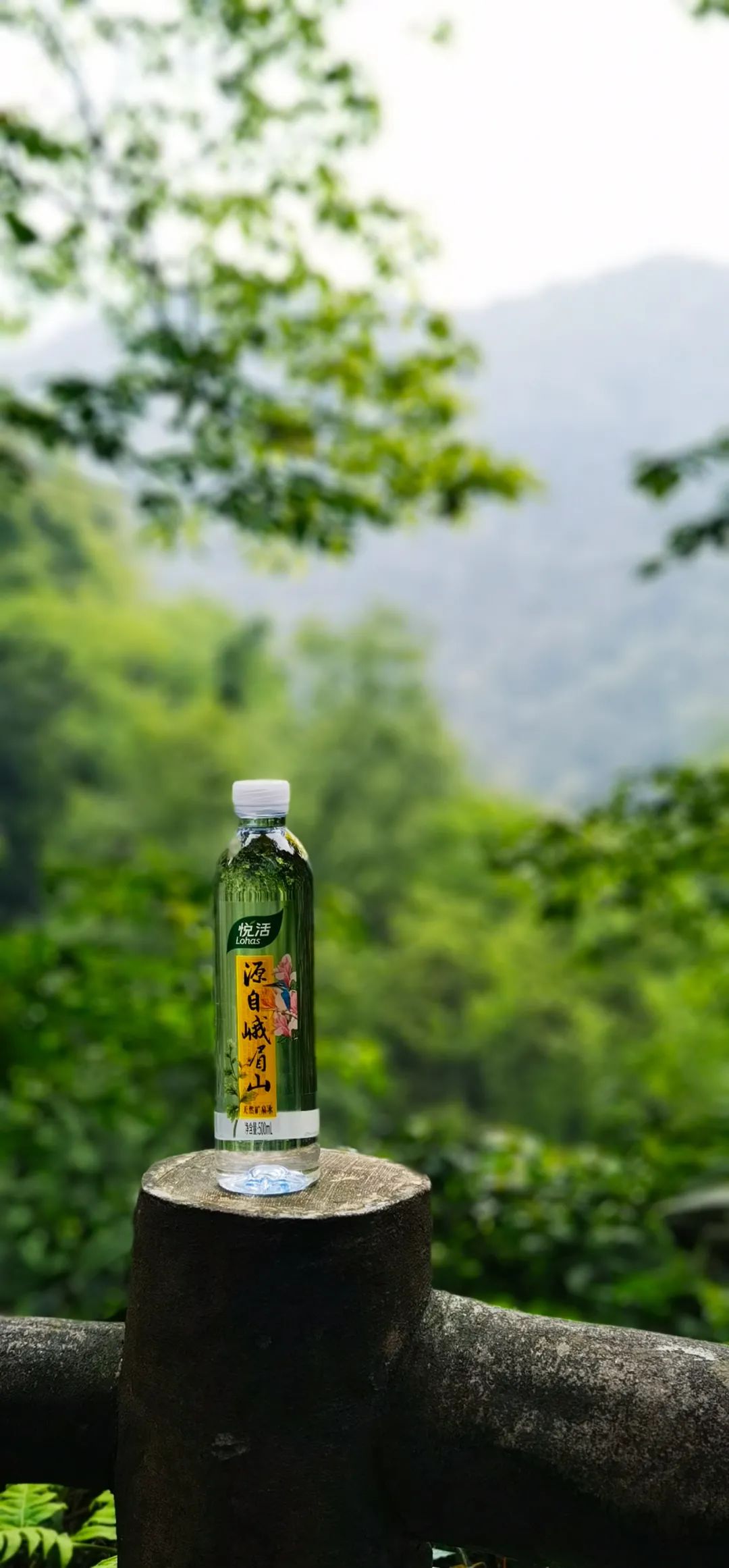 据悉,中粮悦活峨眉山天然矿泉水水源处位于峨眉山景区核心部位,周围