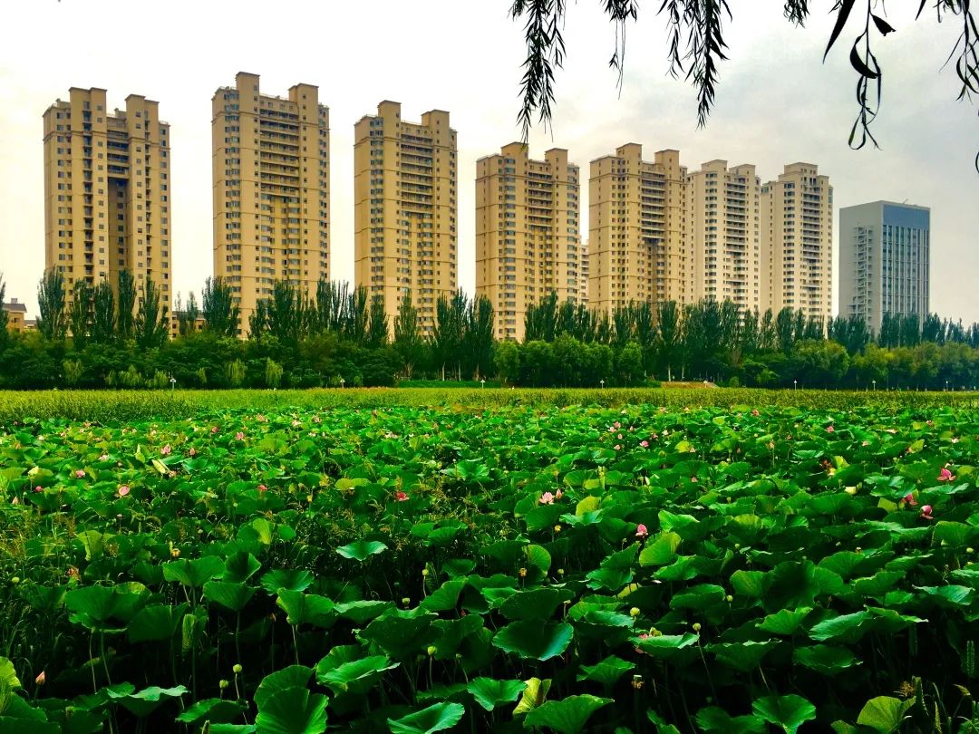 【阜新相册】细河风光惹人醉