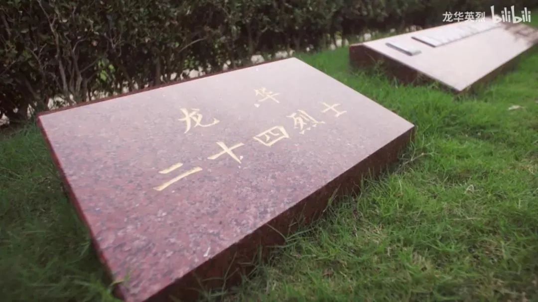 1950年清明节人们在龙华革命烈士就义地附近挖掘出烈士遗骸遗物其中有