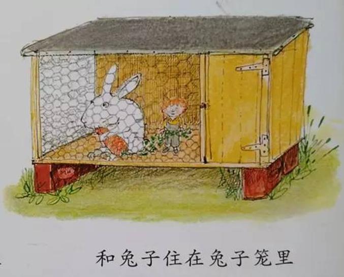 和兔子住在兔子笼里和鸡住在鸡舍里和狗住在狗窝里还是你喜欢就躺在