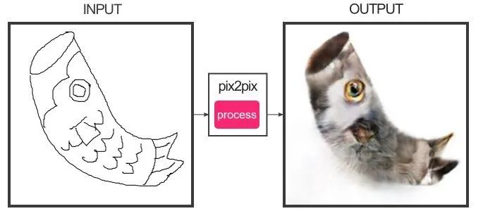 人类居然开始用AI“造猫”了，是嫌主子还不够多吗