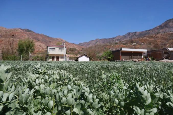 【春耕正當時】秀水鎮田壩村:發展特色產業 助力鄉村振興