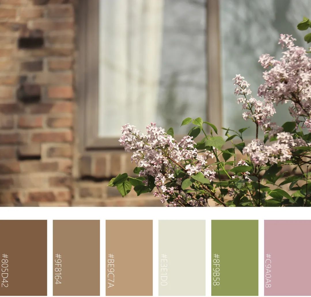 美!中农的春日色卡