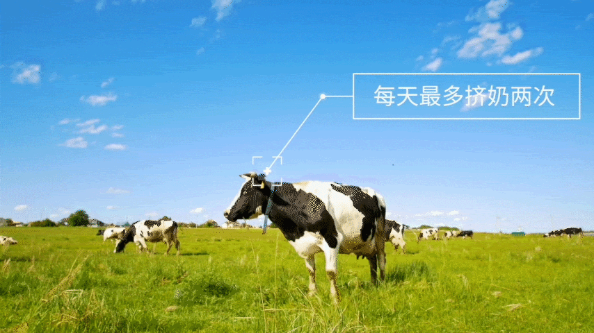 854_480gif 动态图 动图