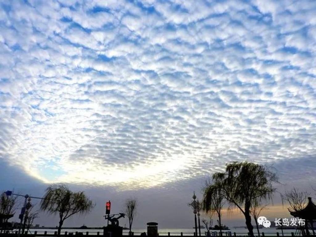 看这是长岛的鱼鳞云