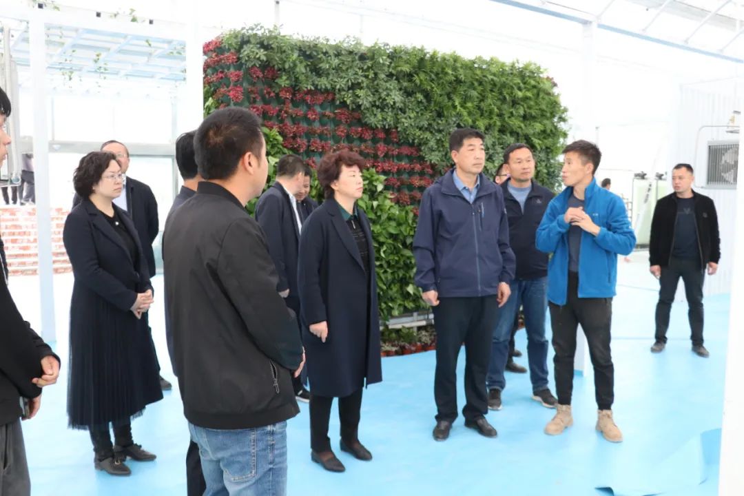 记者:李国文 曾贤平原标题:《石福胜张莉调研乡村振兴重点项目建设》