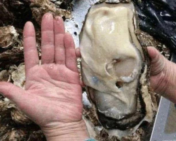 日本百万吨核废水将入海全球网友怒了一场波及75亿人的灾难正在降临