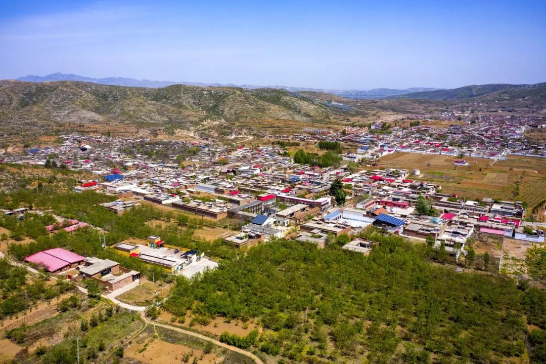 植树造林绘就磁县最美底色