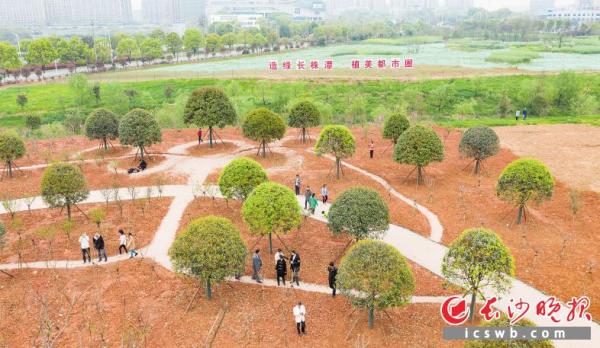 长株潭三市融城核心区天心区融城公园,众多市民在此游玩拍照。