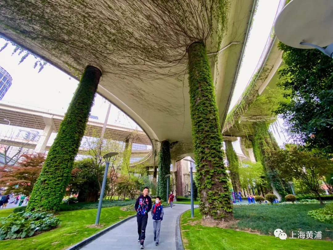 黄浦各类立体绿化已成为城市景观新网红